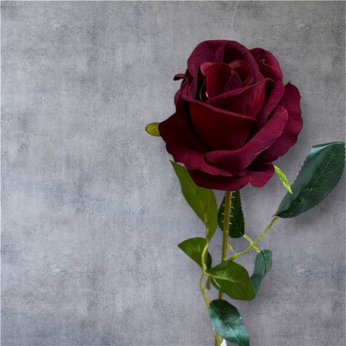 Realistic single velvet rose - realistic,