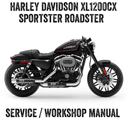 2019 harley davidson sportster - harley,