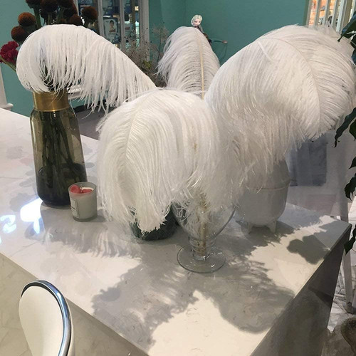 10pcs white ostrich feathers - white,