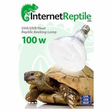Internet Reptile Mercury