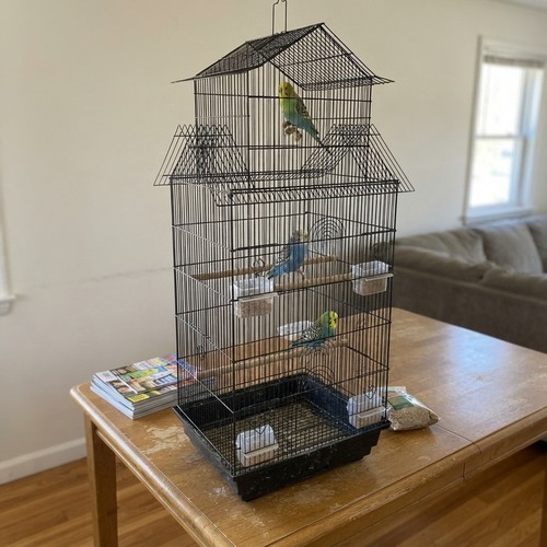 Bird cage budgie large - cage, indoor