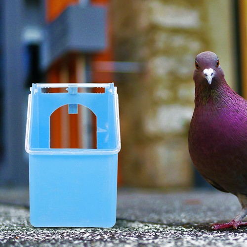 Pcs pigeon accessories - pcs,