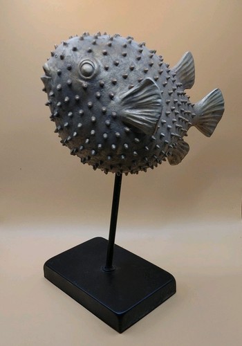Coastal marine faux - marine,