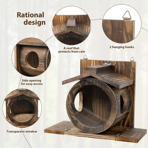 Wild squirrel feeding station - squirrel,
