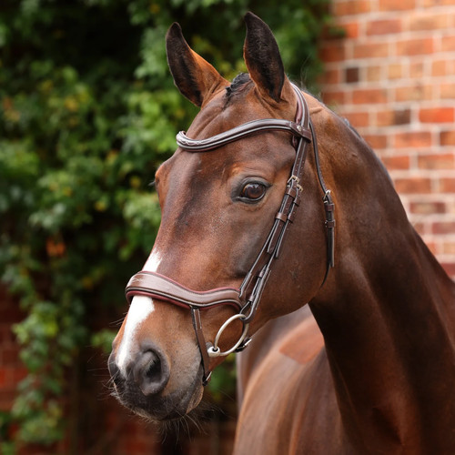 Shires velociti lusso opus - lusso,