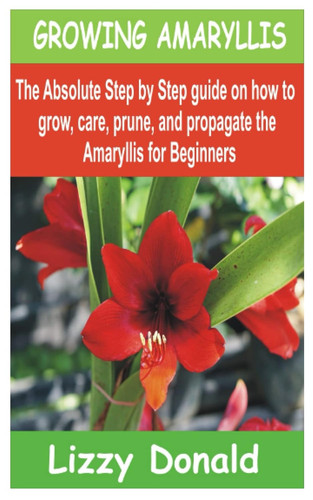 Growing amaryllis the - growing,