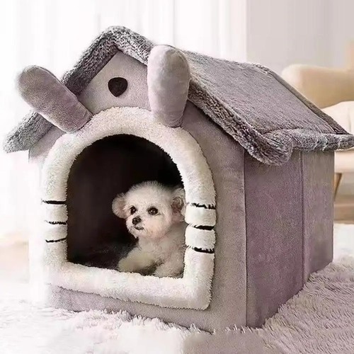 Pet cat kitten dog - cat, igloo