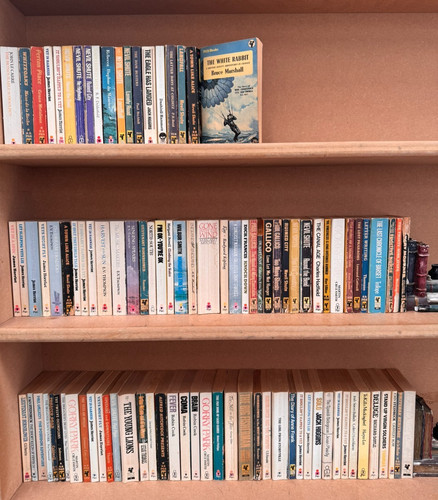 100 pan vintage paperback - vintage,