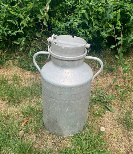 Vintage milk churn garden - milk,