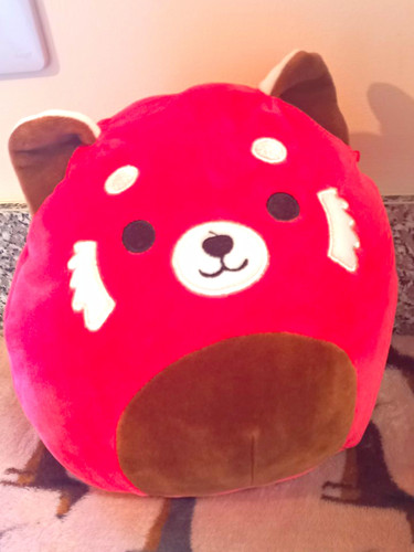 Squishmallows cici inch red - squishmallows,