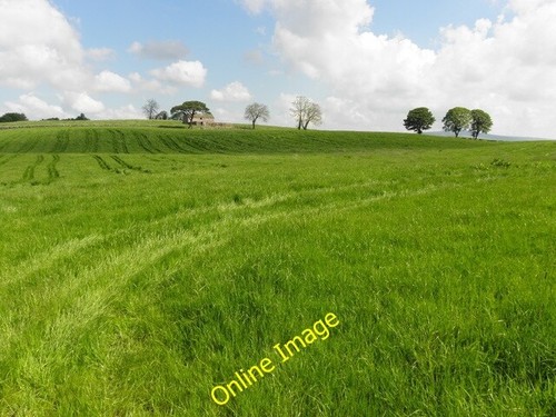 Photo 6x4 carony townland - photo,