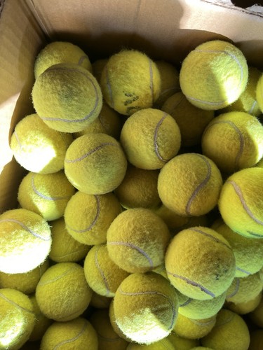 Used tennis balls - 30, good
