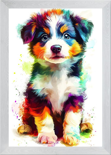 Australian shepherd colorful - australian,