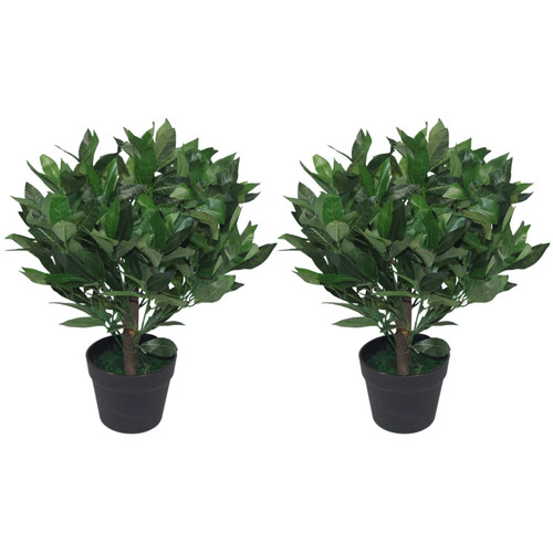 Leaf design pair - leaf, of