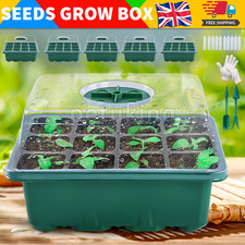 1/15 Pack Holes Seed Starter
