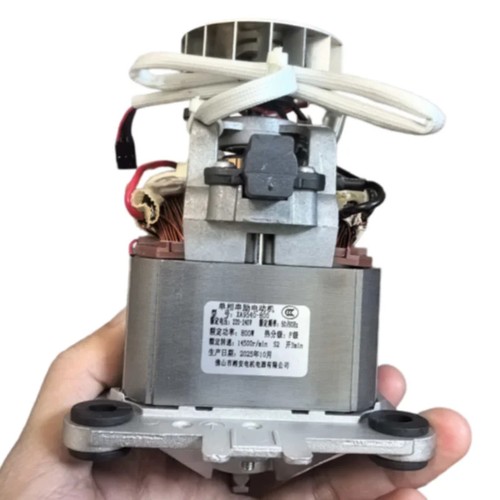 220 240v 800w blender motor - 220-240v,