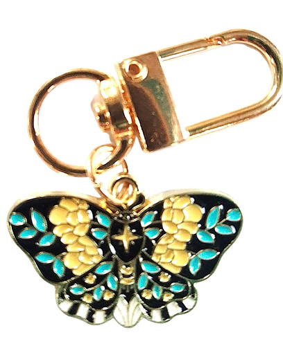 Beautiful moth butterfly - beautiful,