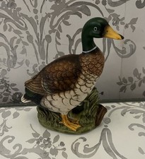 Mallard Duck Vintage Drake