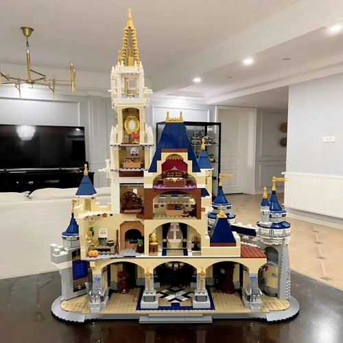 The disney castle - the,