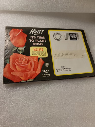 Vintage rose flower - vintage,