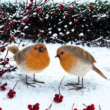 TWO Robin figurines home