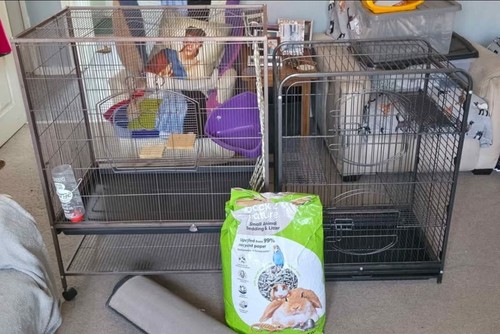 Rat cages for sale - used, but