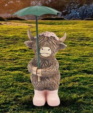 Hughie Highland Cow Rainy Days