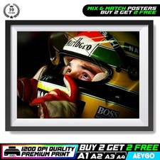 AYRTON SENNA FORMULA ONE F1