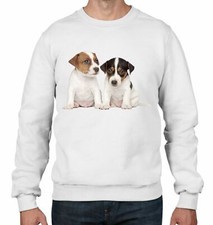 Jack Russell Puppies Men's