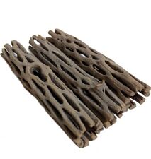 4X Large Cholla Cactus Wood Aquariums Shrimp Snails Fry Pleco Aquascape Parrot