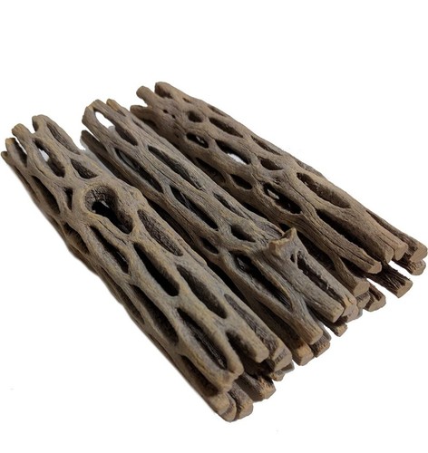 Large cholla cactus wood - 4x,