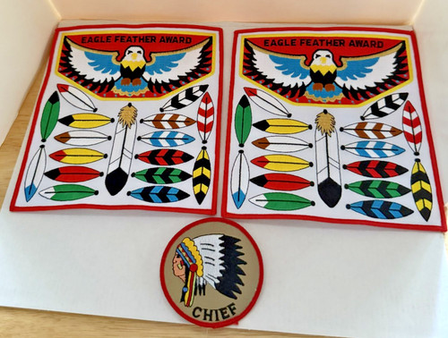 Boy scout eagle feather - boy,