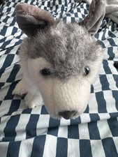 Colchester Zoo Grey & White Blue Eyed Husky Wolf Wild Dog Soft Plush Toy