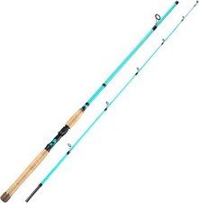 Inshore Saltwater Fishing