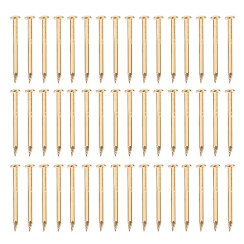 100 pcs brass decorative nails - 100,
