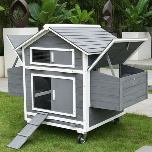Chicken coop - chicken,