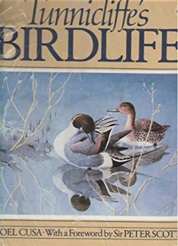 Tunnicliffe birdlife - tunnicliffe's,