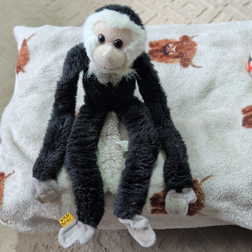 Wild republic hanging monkey - hanging,