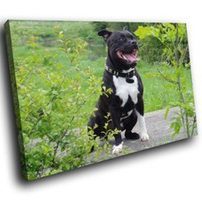 Black Pitbull Terrier Blue Funky Animal Canvas Wall Art Large Picture Print