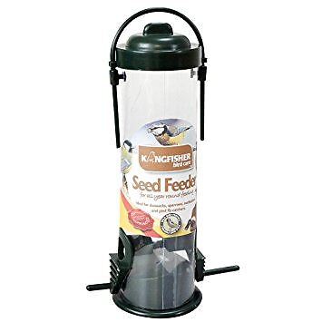 Bird seed feeder hanging - bird,