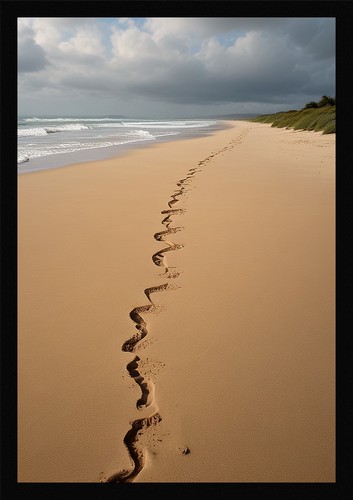 Epic tropical beach - epic,