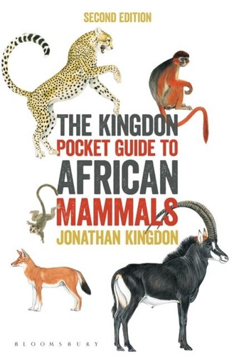The kingdon pocket - pocket, to