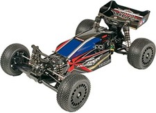 Tamiya 1/10 Electric RC Car