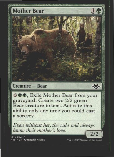 Mother bear 171 common - bear,