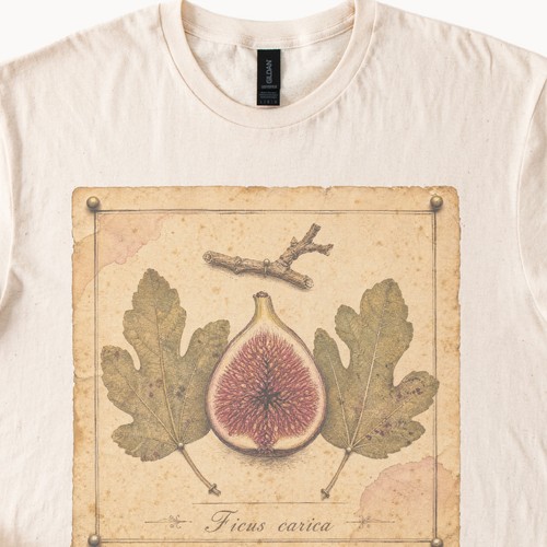 Ficus carica halved fig - halved,