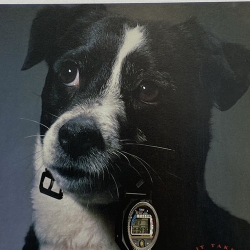 1991 timex print watch - timex, ad