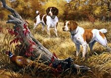 BRITTANY SPANIEL TWO DOGS &