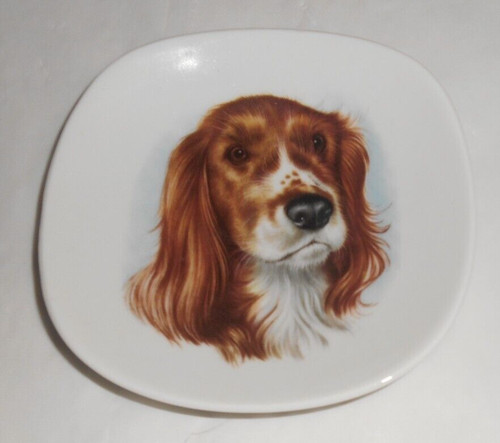 Springer spaniel dog - springer, 4.75"