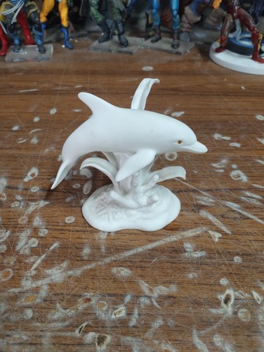 Lenox bottlenose dolphin - “bottlenose, dolphin”