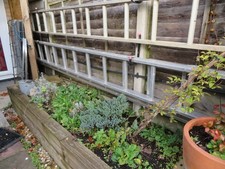 YOUNGMAN , 200 LADDER DOUBLE REACH 3.66 m NEVER BEEN ON BUILDING SITE USED 4 X'S